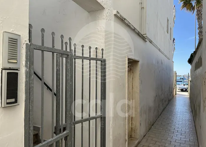 Il Timone Porto Cesareo